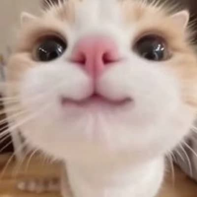 Muffin thumbnail