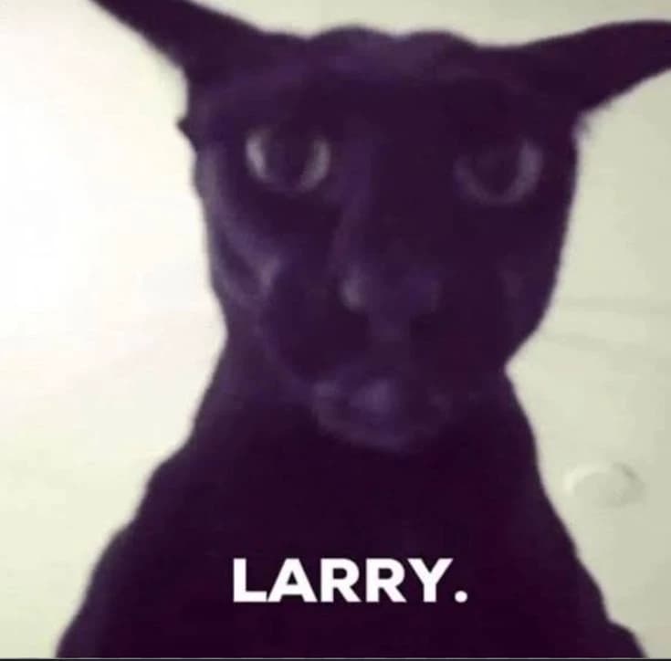Larry thumbnail
