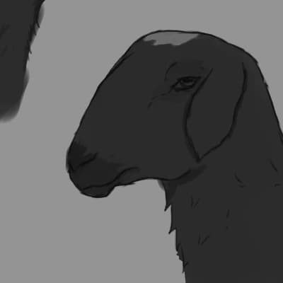 Tunic thumbnail