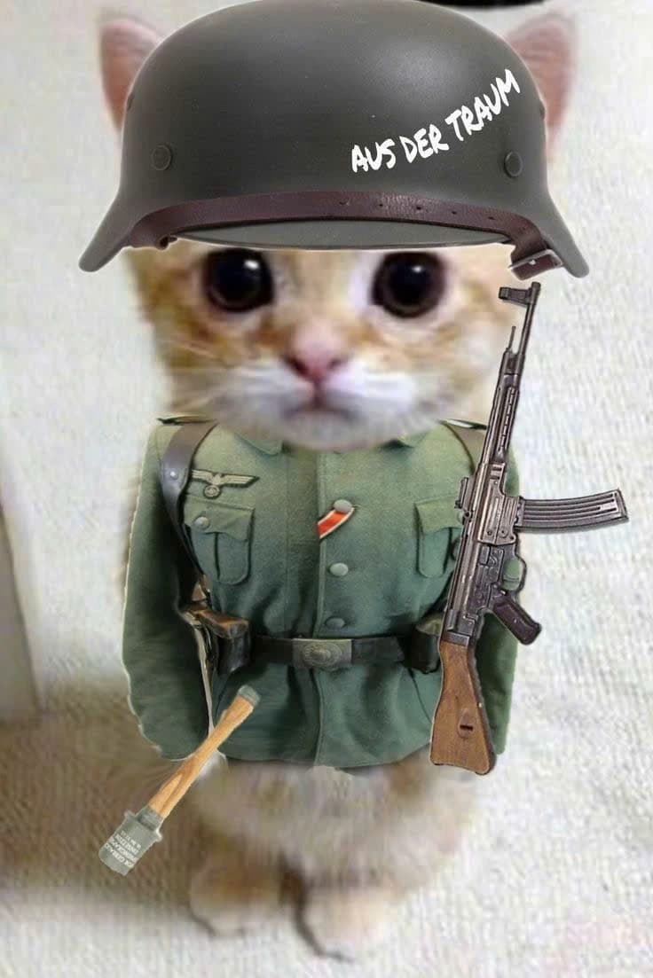 Nguyen Le Tuan Khoa thumbnail