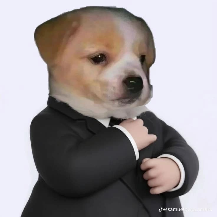 ✝️Religious✝️ puppy thumbnail