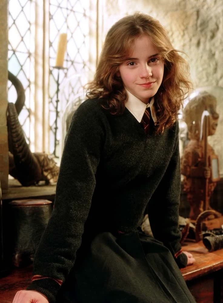 Hermione Granger (Yule Ball) thumbnail