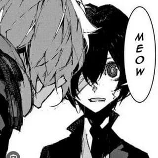 Chuya and dazai / soukoku thumbnail