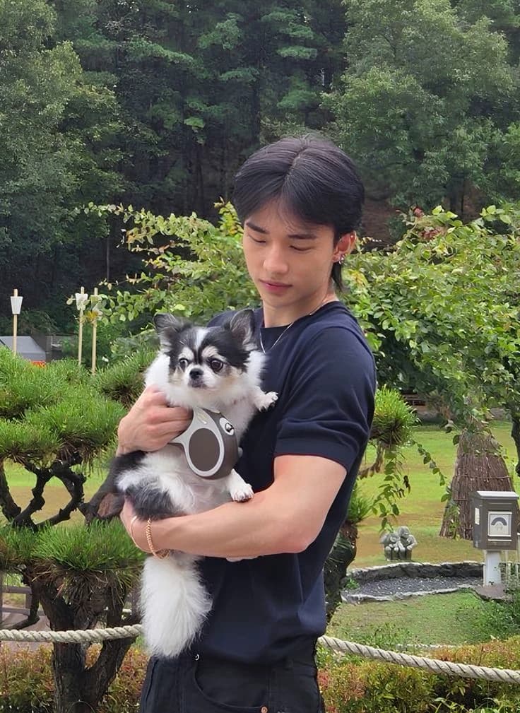 Hyunjin thumbnail