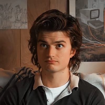 Steve Harrington thumbnail