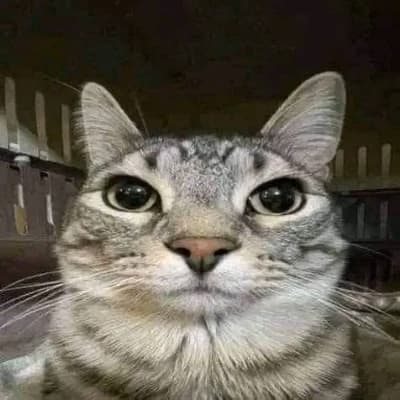 Mister Grumbles thumbnail