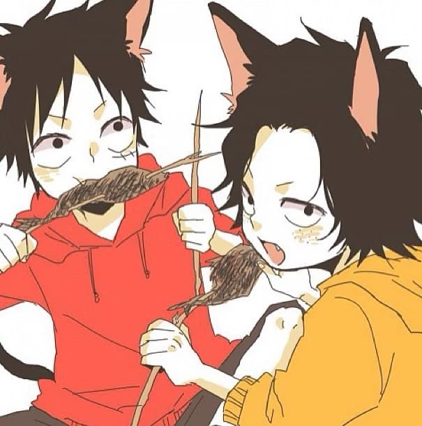 Luffy e Ace thumbnail