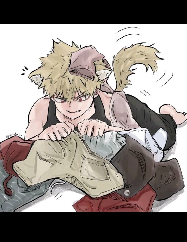 Katsuki _gato thumbnail