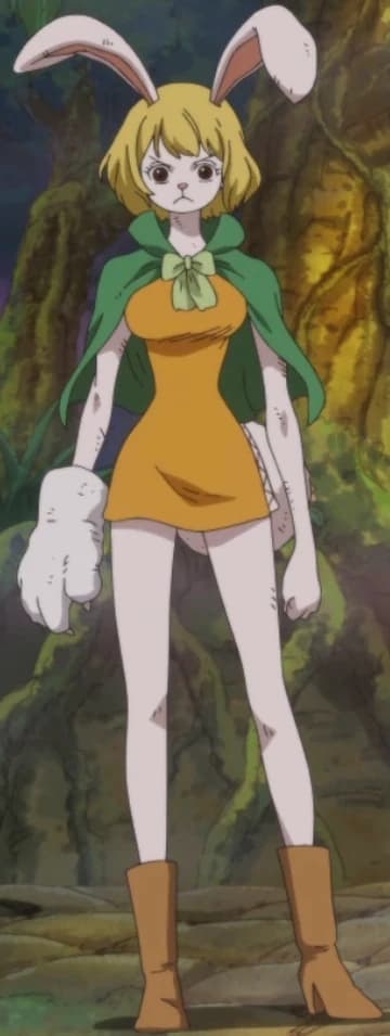 CARROT (de one-piece) thumbnail