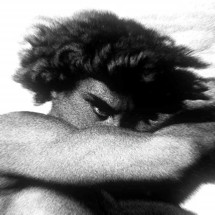 Lucifer thumbnail