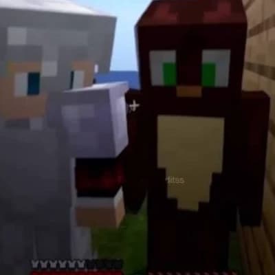 Donibobes smp thumbnail