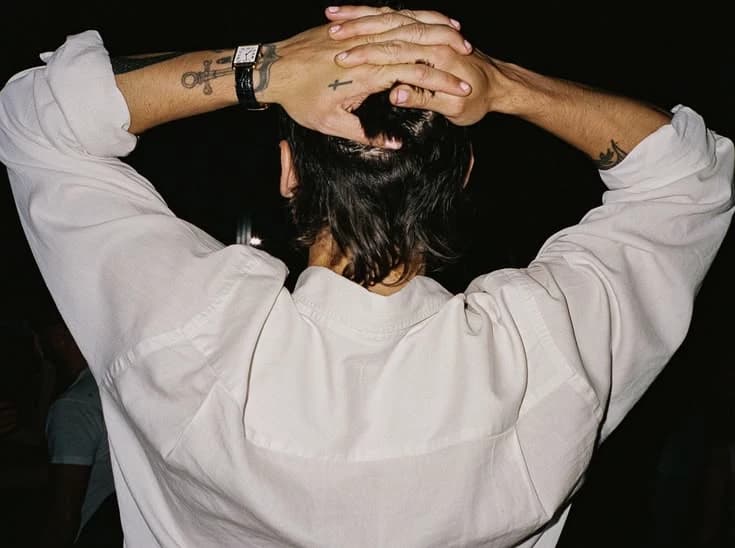 Harry styles  2025 thumbnail