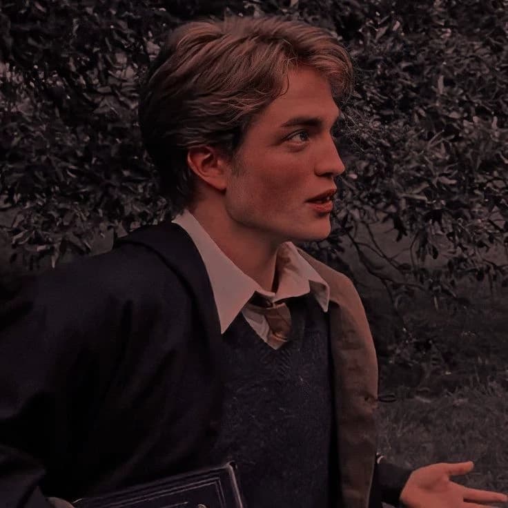 Cedric Diggory ✨ thumbnail