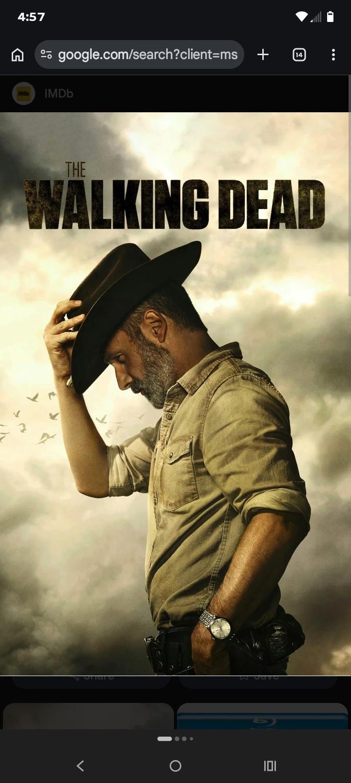 The Walking Dead Series  thumbnail
