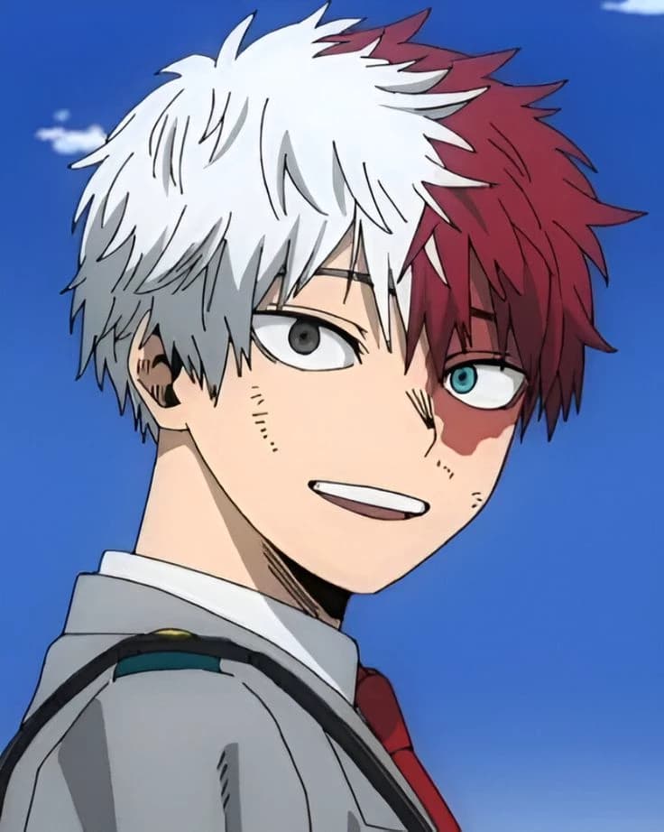 Shot todoroki ❄️🔥 thumbnail
