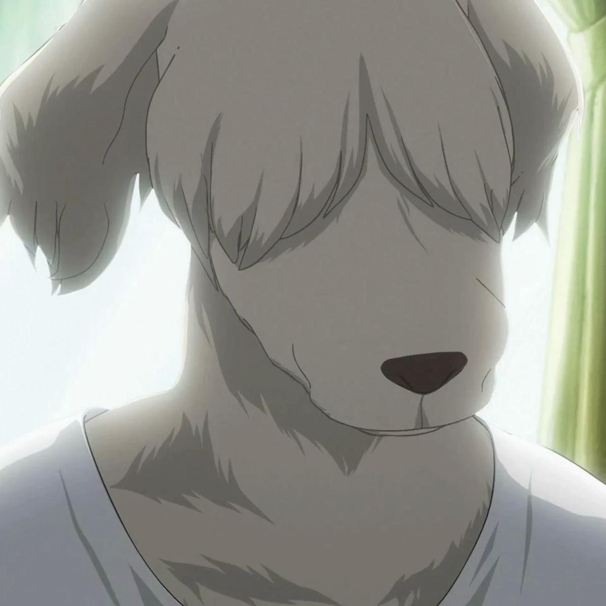 Collot || Beastars thumbnail