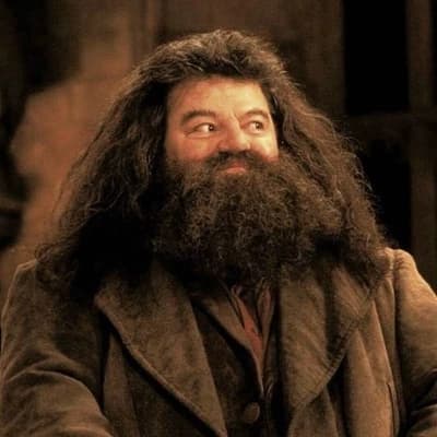 Rubeus Hagrid thumbnail