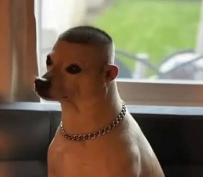 Buzcut thumbnail