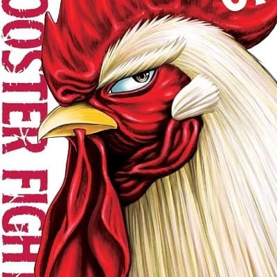 Rooster fighter thumbnail