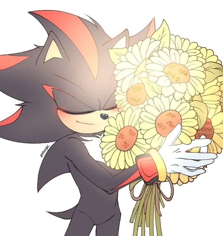 Shadow The Hedgehog thumbnail