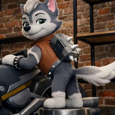 Gasket with the team thumbnail