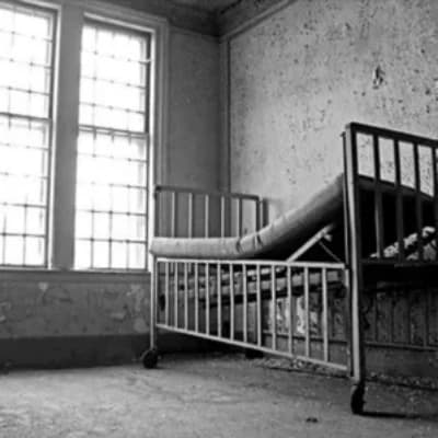 Asylum thumbnail