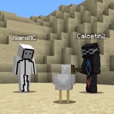 Xiaro, Fit & Chicken thumbnail