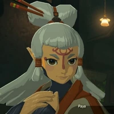 Paya thumbnail