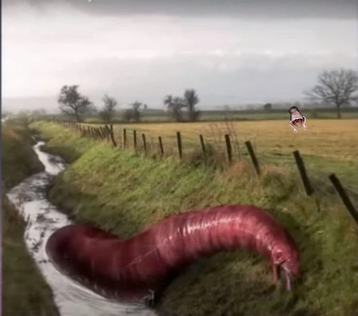 Flesh snake - (red shape like human inner skin, body shaped like an earthworm) thumbnail