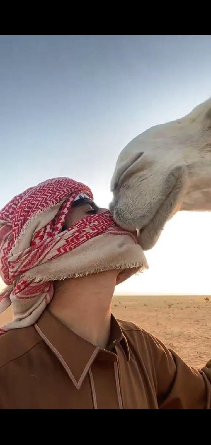 Khalid Al Malik thumbnail