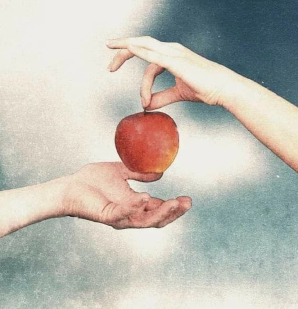 Adam and Eve: The New Generation thumbnail