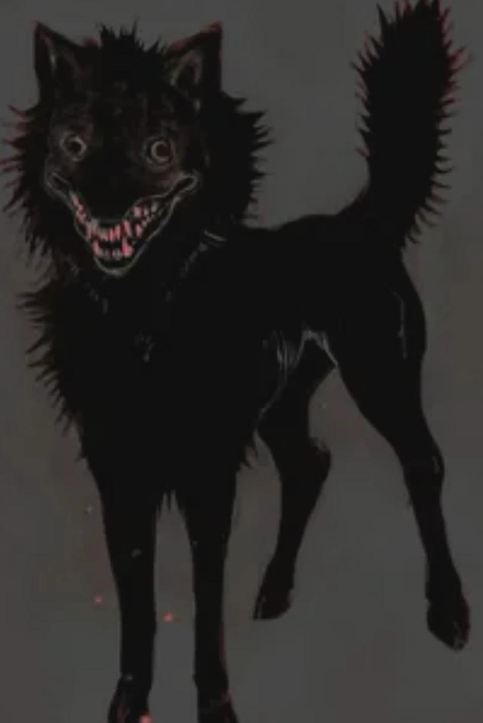 Cute Dog's :D thumbnail