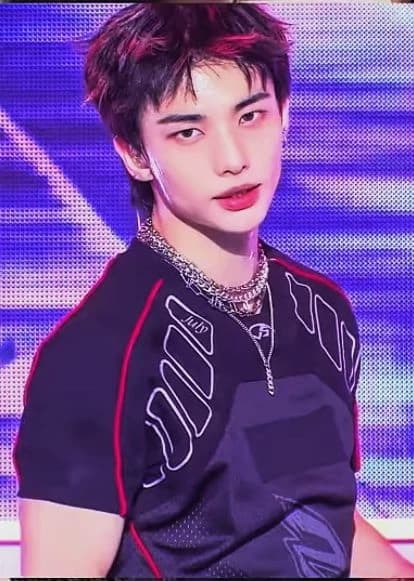 Hyunjin's best friend 💖💖 thumbnail
