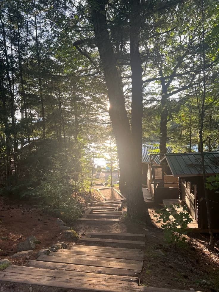 Summer Camp thumbnail