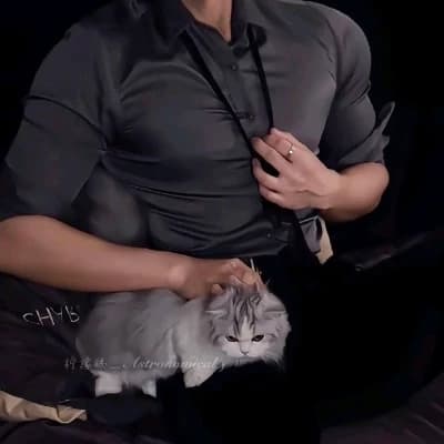 Leonardo - Bosmu thumbnail