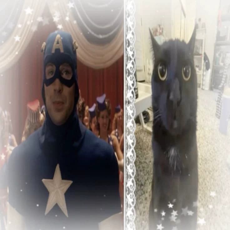 Avengers + x-men  thumbnail