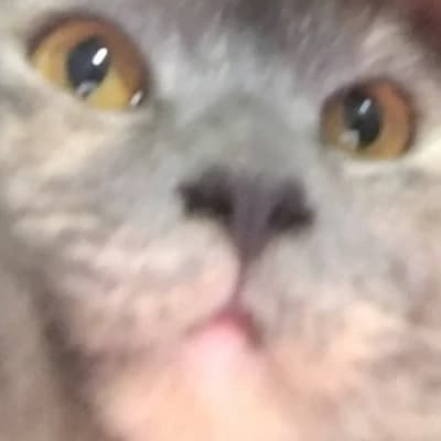 A cat plus a epic the musical group thumbnail