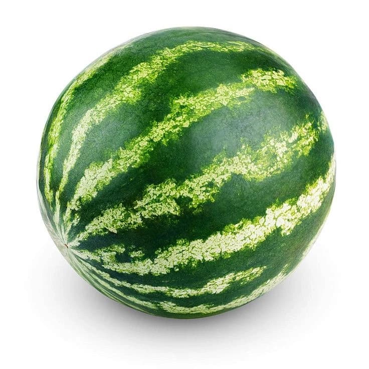 Watermelon thumbnail