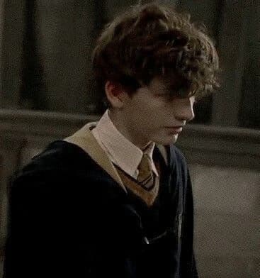 Newt Scamander thumbnail