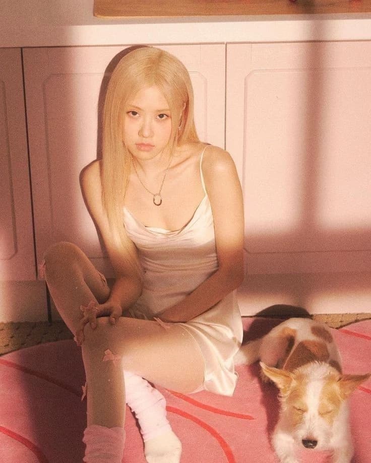 Rose thumbnail