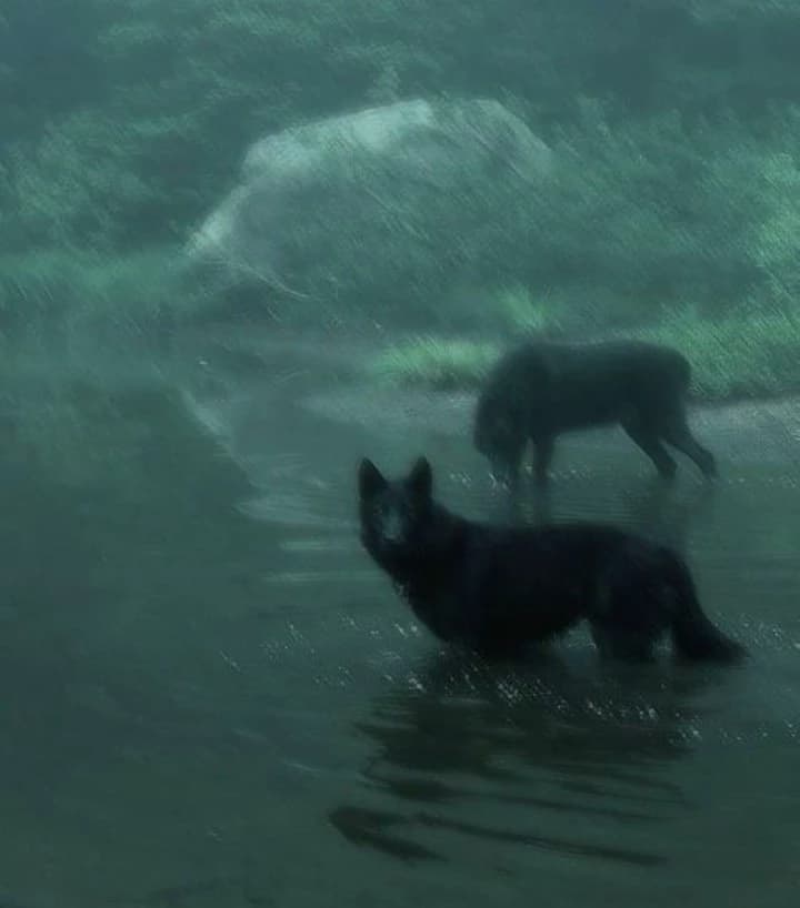 Twilight thumbnail
