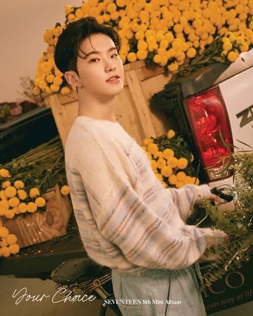 Kwon Soonyoung (hoshi) thumbnail
