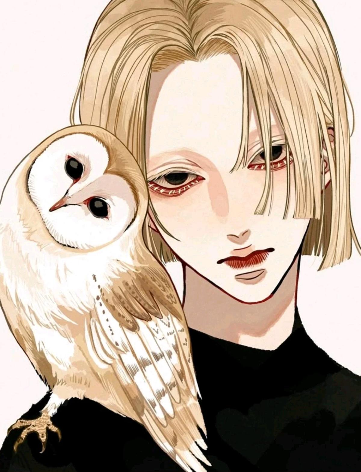 Fukuro -- white owl thumbnail