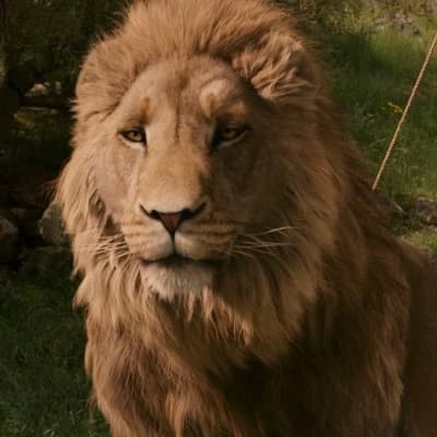 Aslan thumbnail