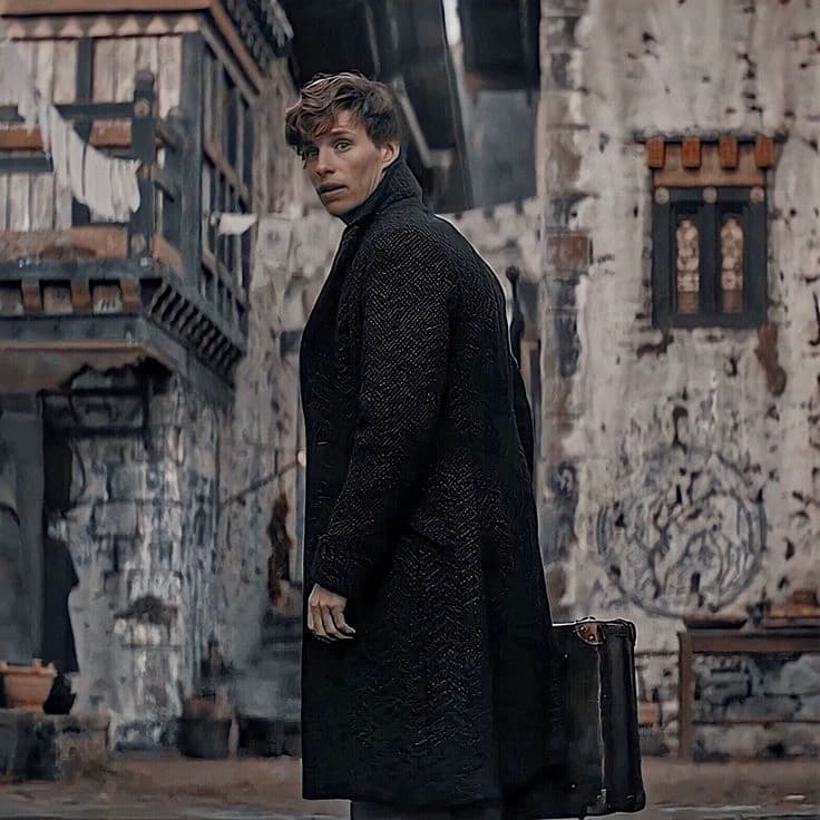 Newt Scamander thumbnail