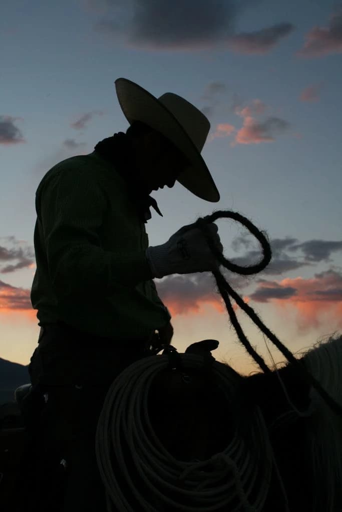 Cass Fuller - Cowboy thumbnail