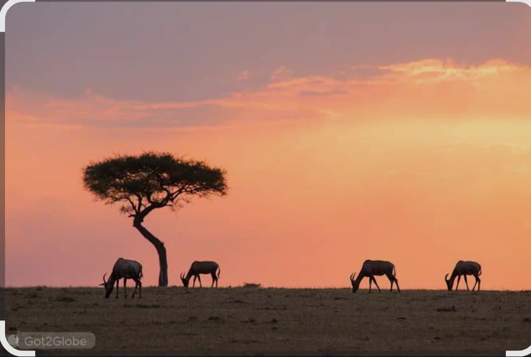 Maisai Mara RP thumbnail