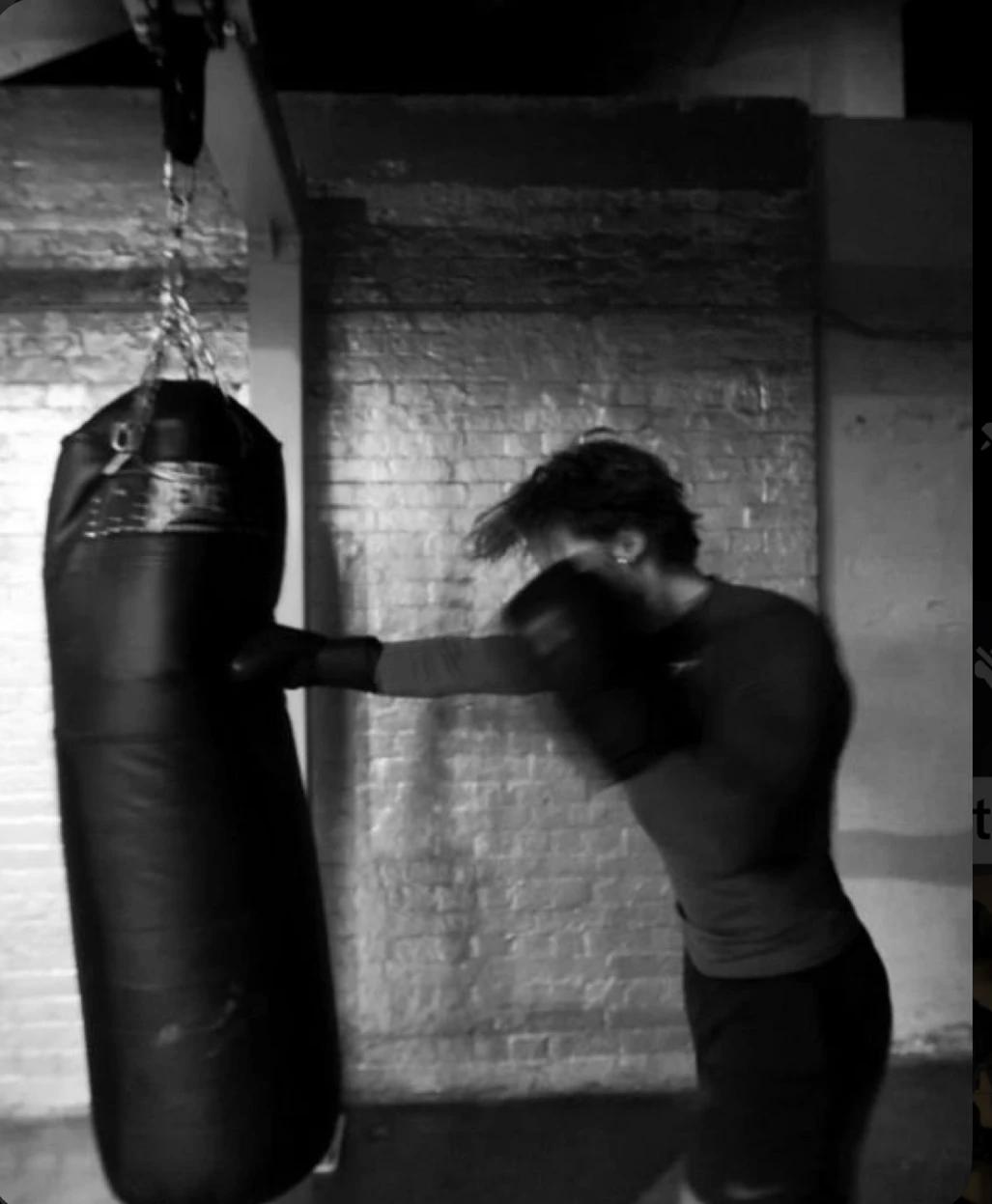 Alex-Boyfriend Boxer thumbnail