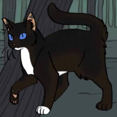 Amber  thumbnail