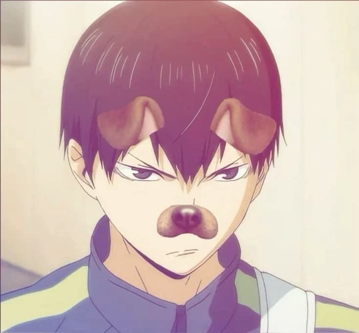 ★KAGEYAMA★ thumbnail